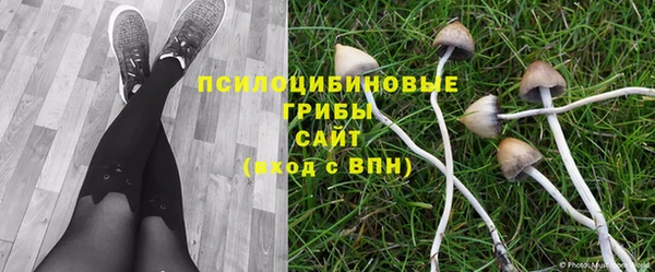 скорость Алзамай