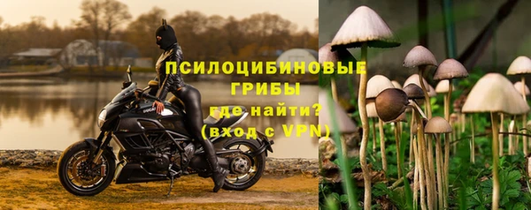 скорость Алзамай